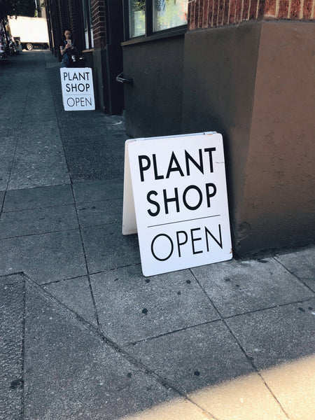 Plant Shop Seattle