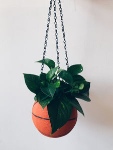 Basketball Hanging Pot